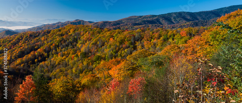 Autumn in the Great Smoky Mountains