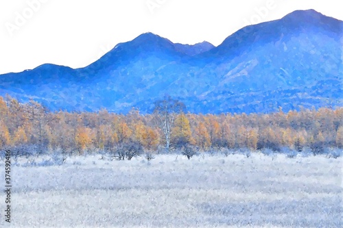 晩秋の小田代ヶ原の幻想的な情景＠日光、栃木（水彩画風）