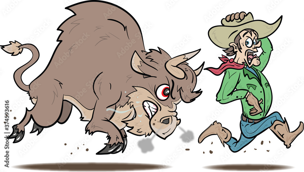 Obraz premium Bull chasing a Cowboy 