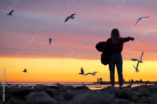 Sunset on the sea coast. Silhouettes of people. The girl feeds the seagulls with her hands