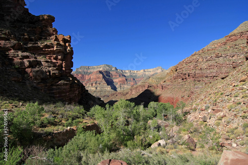 View of canyon walls from Upper Tapeats Campground in Grand Canyon National Park, Arizona on clear summer morning.