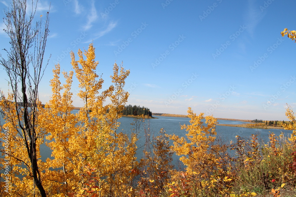 Colours In Front Of The Lake, Elk Island National Park, Alberta