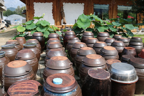 clay pots for sale © 장원