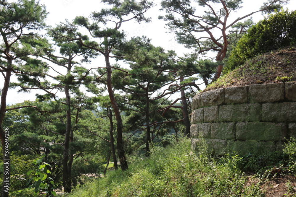 Fototapeta premium old stone wall