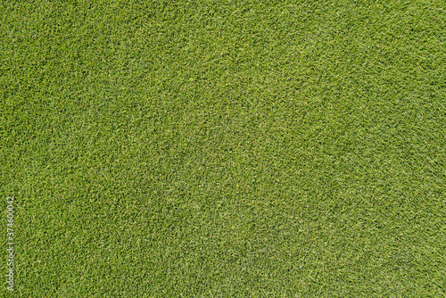 Golg green grass texture. Sward texture. Green grass Artificial background.