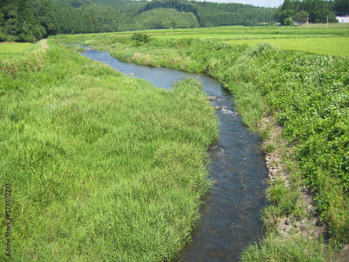 Foto 夏の小川