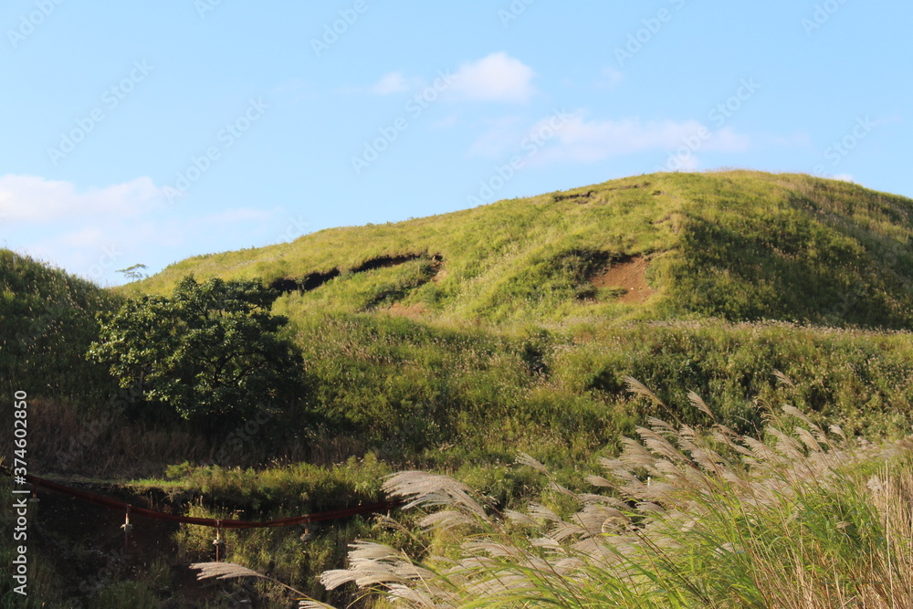 Fototapeta premium 熊本・阿蘇の風景