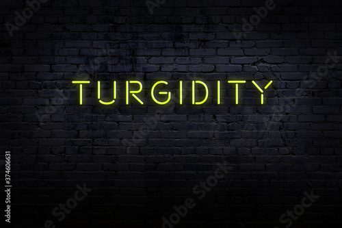 Night view of neon sign on brick wall with inscription turgidity photo