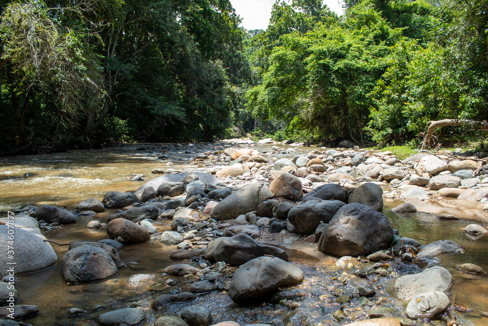 Naturaleza de un rió con piedras Naturaleza de un rió con piedras