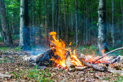 A made fire in the forest. Fire flames and sparks in nature. Leisure and camping. Summer, Autumn, Spring. Burning firewood and trees.