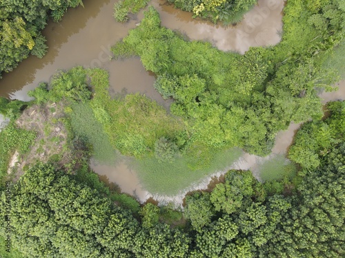 top view river with trees landscape.