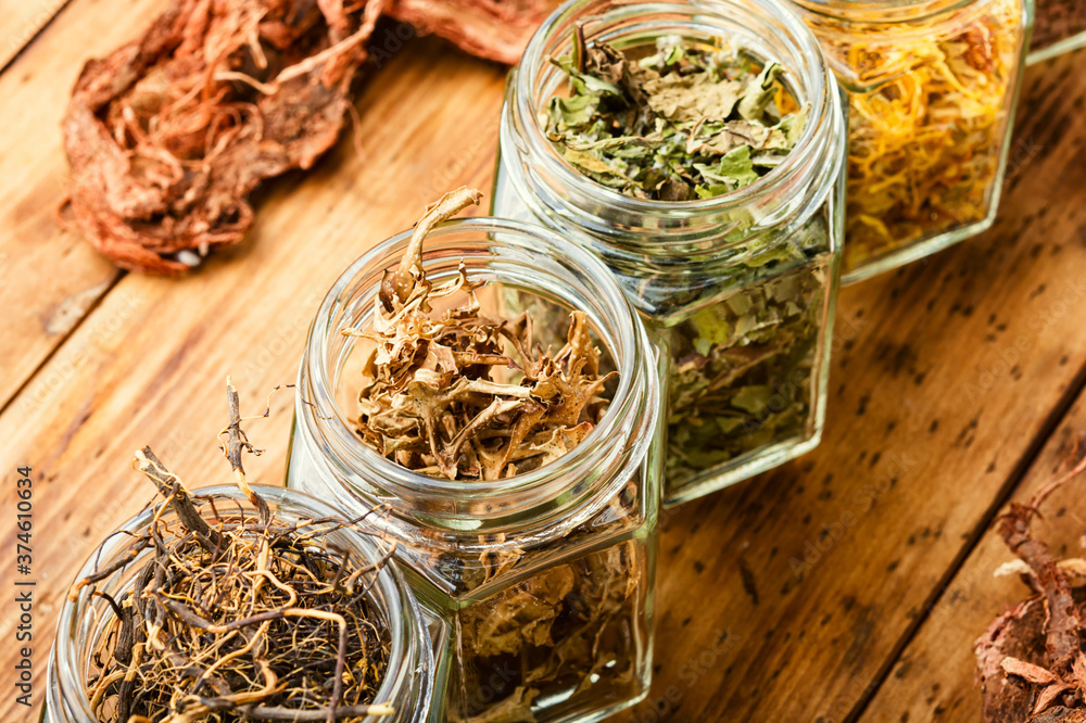 Healing herbs or medicinal herbs