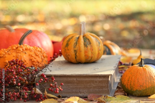 World Book Day. Autumn books. Halloween books. Reading concept.Vintage  book  black retro clocks and pumpkins set in bright rays of the sun on an autumn blurred garden background. knowledge holiday