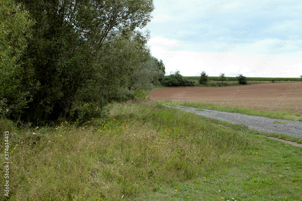 Ein Weg entlang einer grünen Wiese, daneben ist ein Feld Ein Weg entlang einer grünen Wiese, daneben ist ein Feld