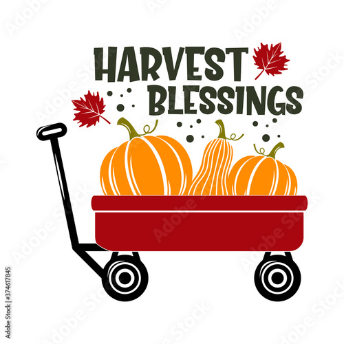 Harvest blessings slogan inscription. Vector quotes. Illustration for Thanksgiving for prints on t-shirts and bags, posters, cards. Isolated on white background. Thanksgiving phrase, Hello fall.