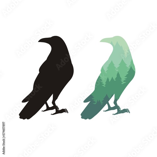 Raven
