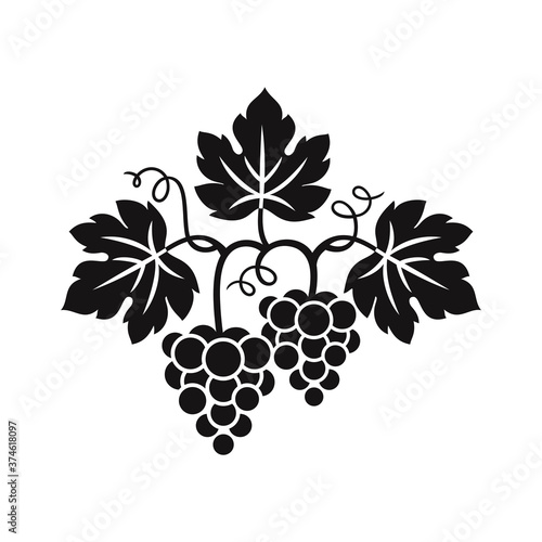 Grapes decorative pattern for wine design concept, bar menu, juice drinks, fruit juices, healthy vegan food, viticulture, wine or juice label, grape seed oil on white background. Vector illustration.