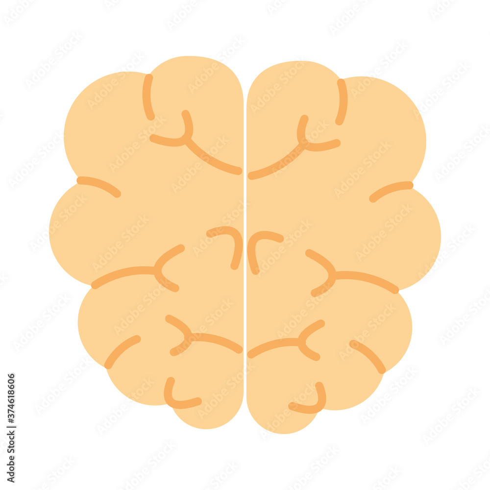 human brain icon, flat style human brain icon, flat style