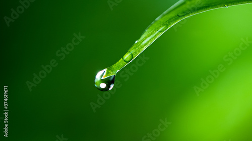 Macro shot of water drop over the green grass leaf , relaxation with water ripple drops concept