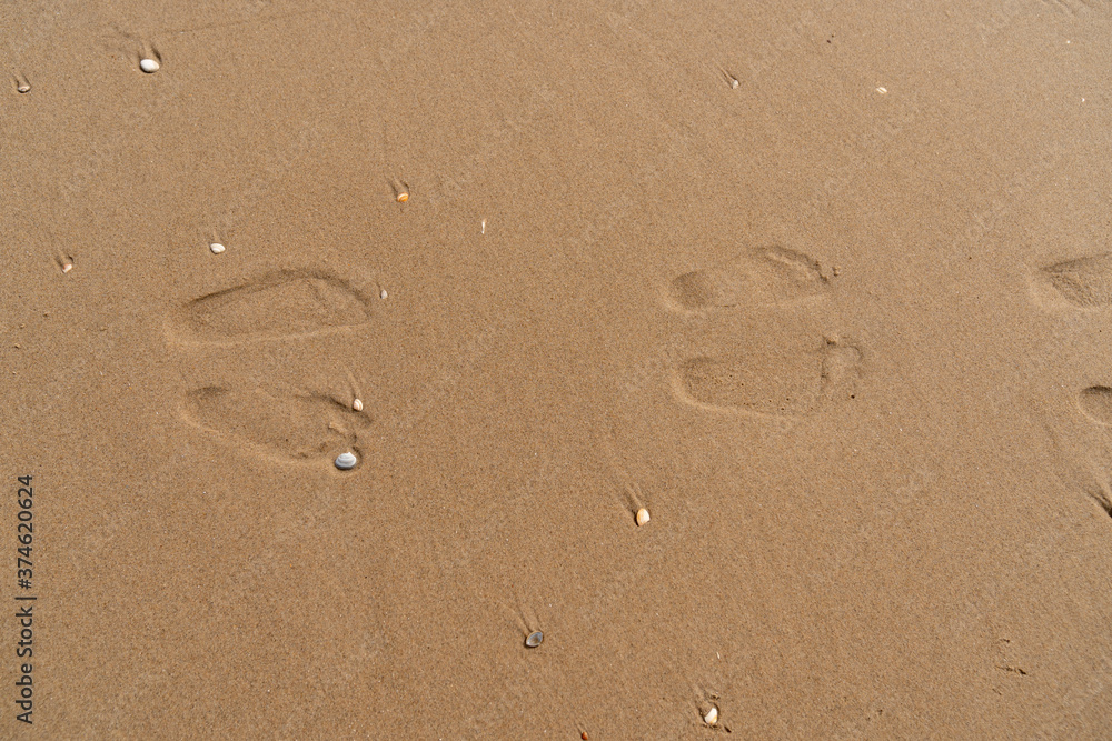 Fußabdrücke im Sand 6. Footprint in sand Fußabdrücke im Sand 6. Footprint in sand