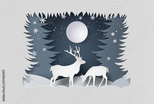 Deer in forest with snow.