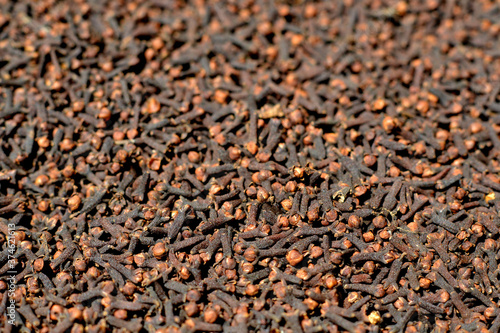 Cloves: a type of spices with distinct flavor and scent. Blur surrounding are intentional for aesthetic value.