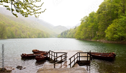 Moored wooden boats on the Beograd lake surrounded with green trees on hills in a clear day in Montenegro.