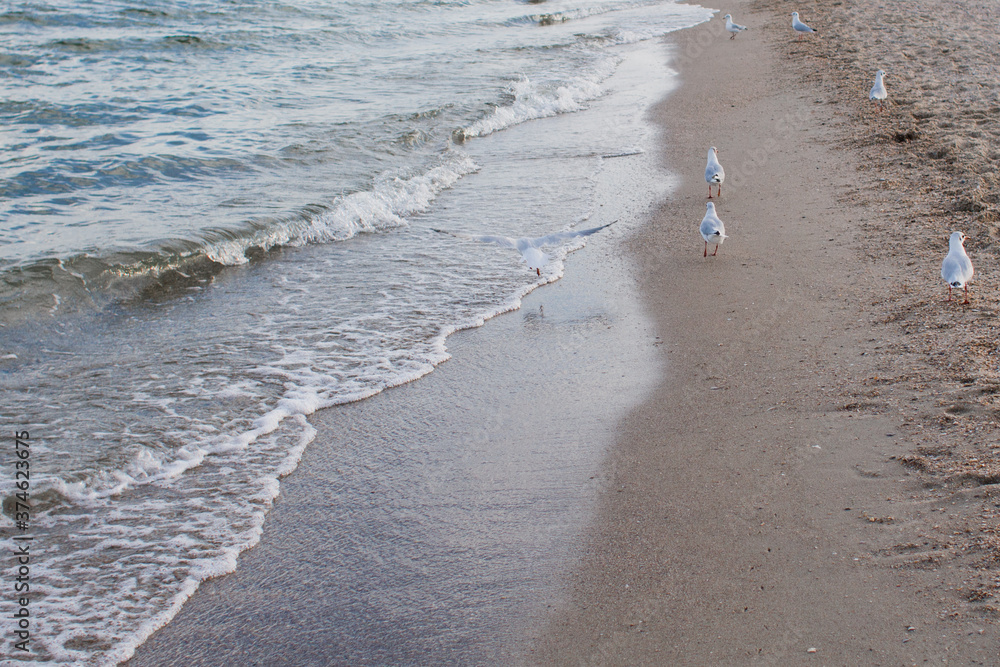 sea water on the shore and clear sky sea water on the shore and clear sky