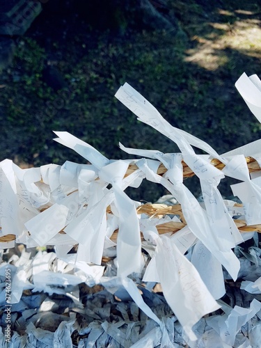 a tree that makes traditional Korean wishes.