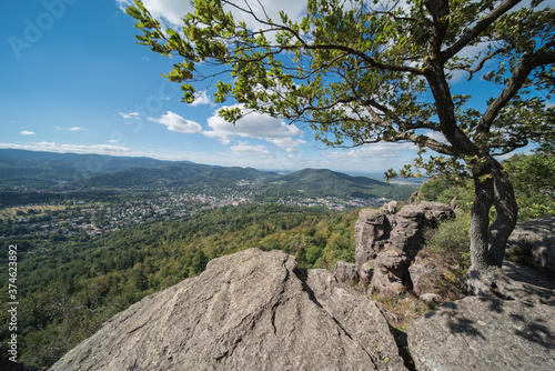 view to baden baden in southern germany from battertrocks. photo