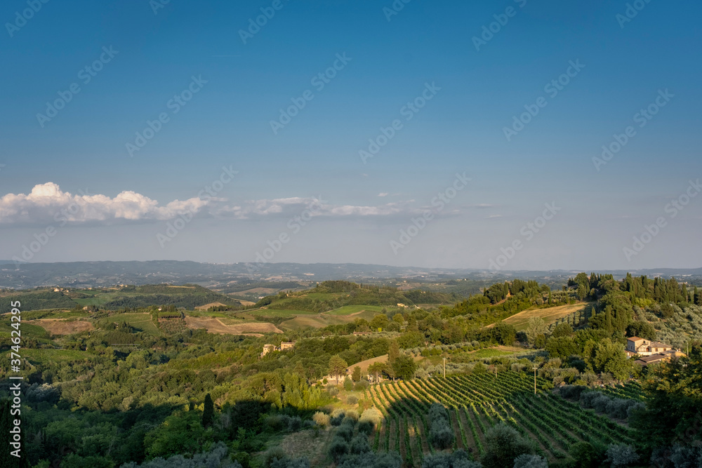 Tuscany sunny landscape. Typical for the region tuscan farm house, hills, vineyard. Italy