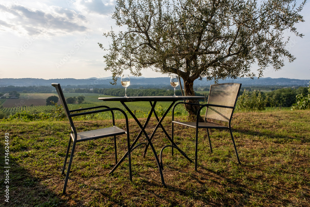 Two glasses of wine at sunset at a vineyard in tuscany