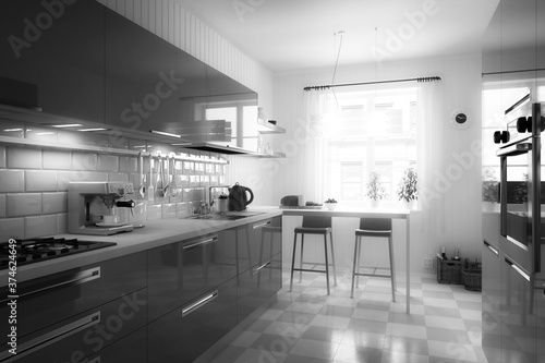 My cute kitchen - black and white 3d visualization