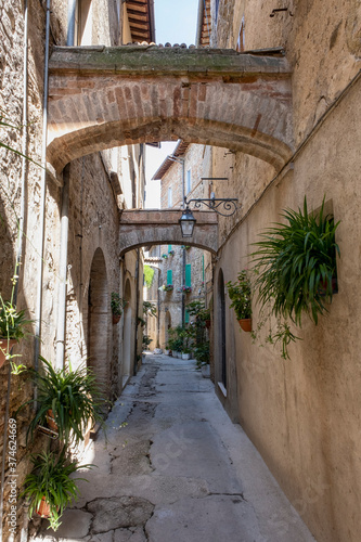 Fototapeta Naklejka Na Ścianę i Meble -  Typical street of Toscany, Italy.