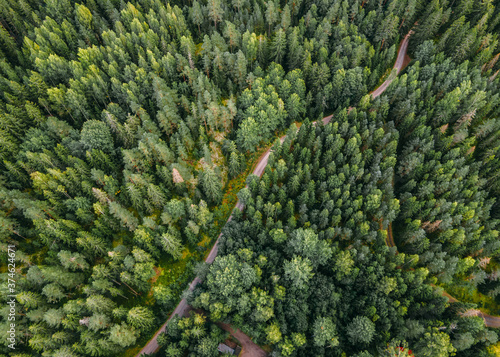 Aerial view to Finnish landscape in Nuuksio national park.