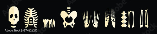 set of human bone and joint icon set