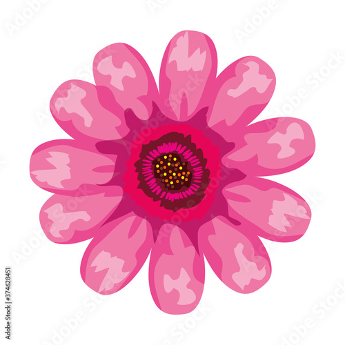 pink flower drawing design, natural floral nature plant ornament garden decoration and botany theme Vector illustration