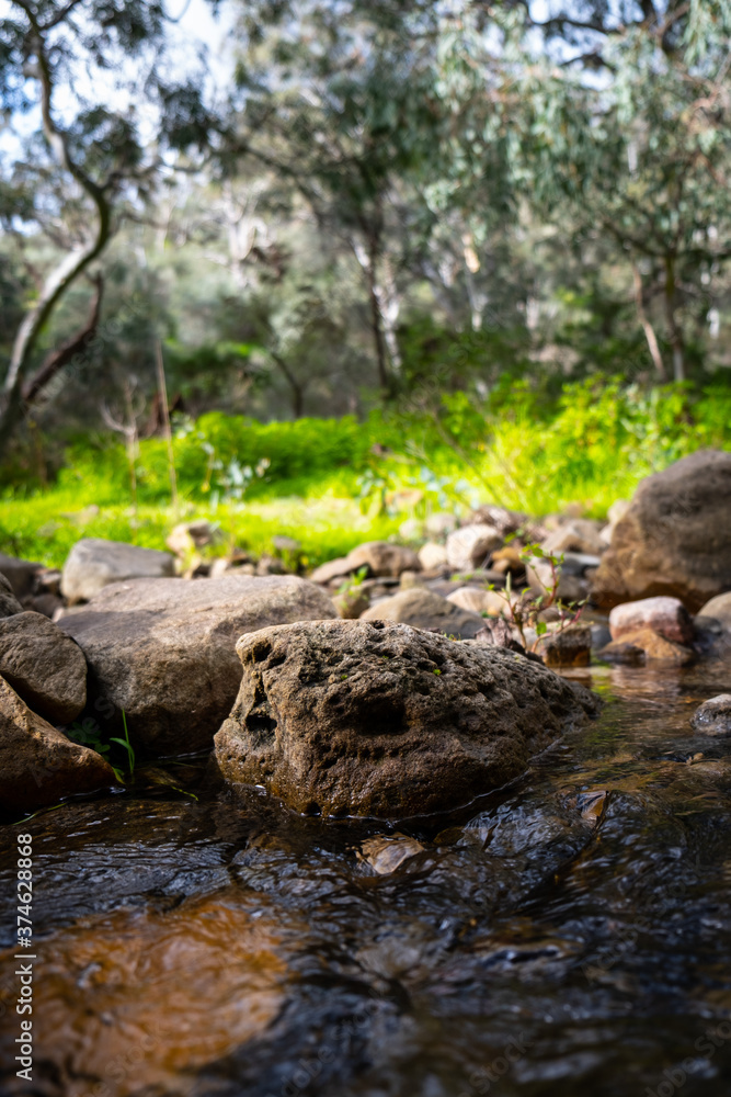 Rock in the river