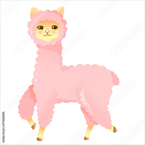 fluffy pink alpaca or llama in cartoon style, vector illustration isolated on white background 
