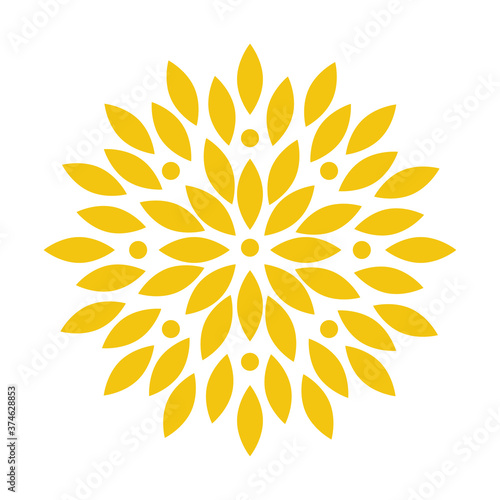 yellow abstract flower design, natural floral nature plant ornament garden decoration and botany theme Vector illustration