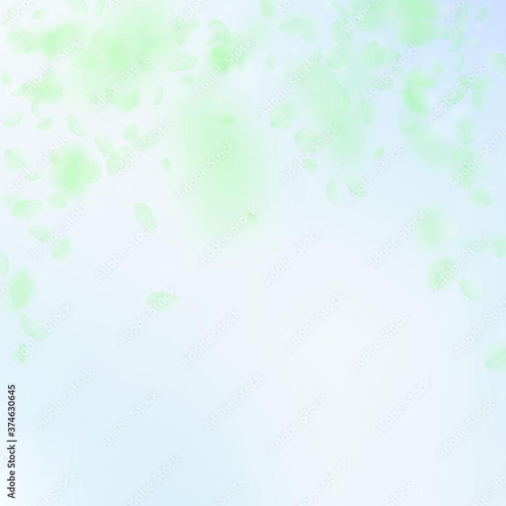 Green flower petals falling down. Outstanding roma Green flower petals falling down. Outstanding roma