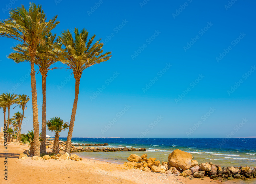 
sun-drenched beautiful Red Sea coastline with swaying palm branches, yellow sand and blue water