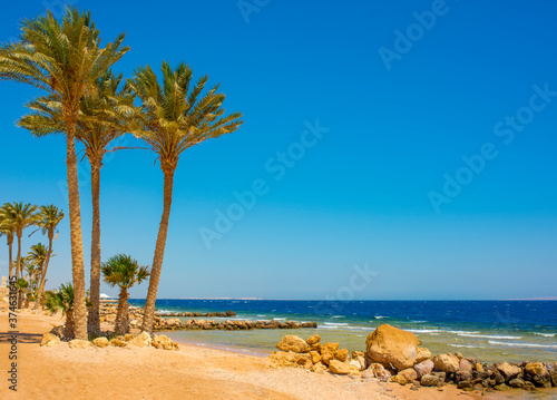  sun-drenched beautiful Red Sea coastline with swaying palm branches, yellow sand and blue water