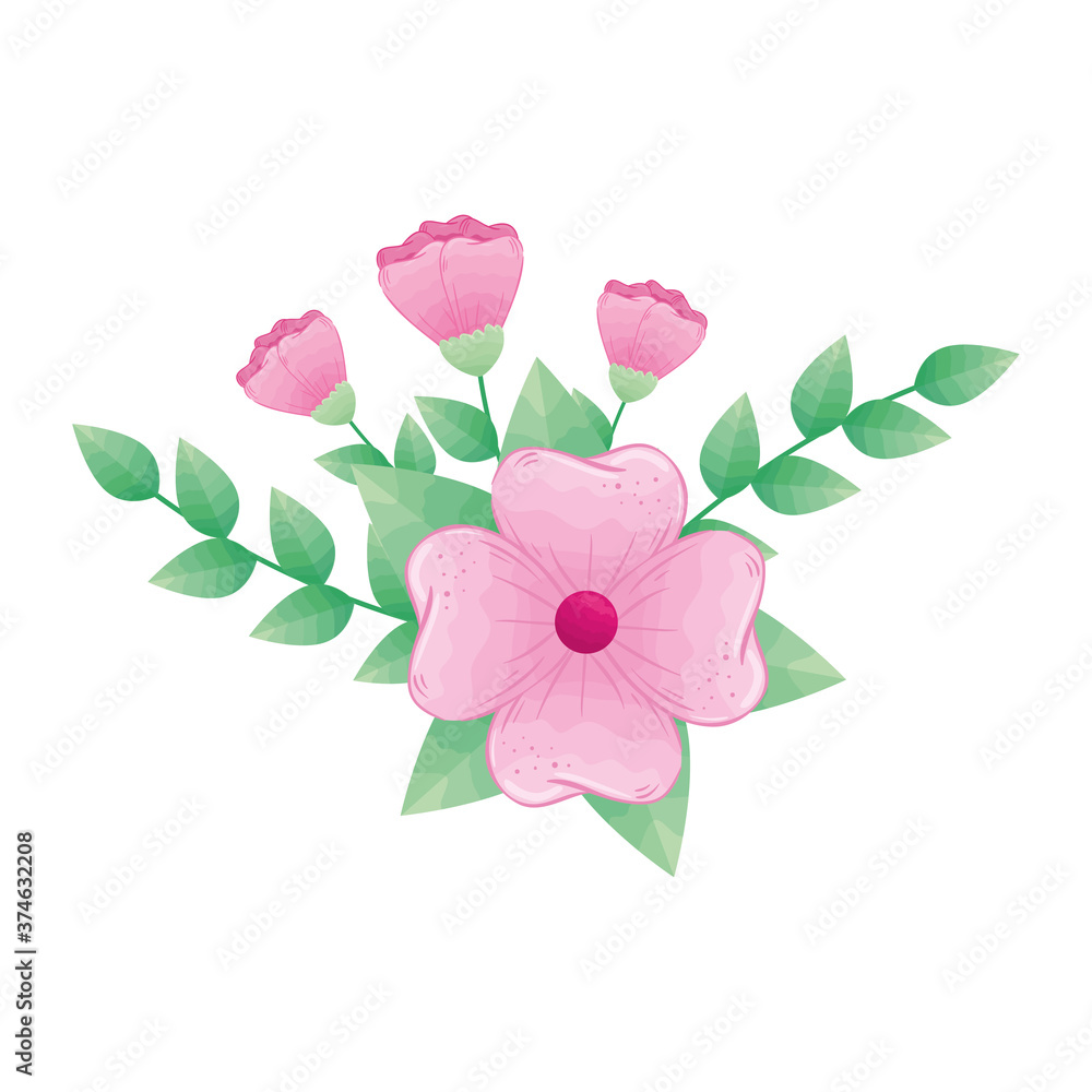 pink flowers with leaves design, natural floral nature plant ornament garden decoration and botany theme Vector illustration pink flowers with leaves design, natural floral nature plant ornament garden decoration and botany theme Vector illustration