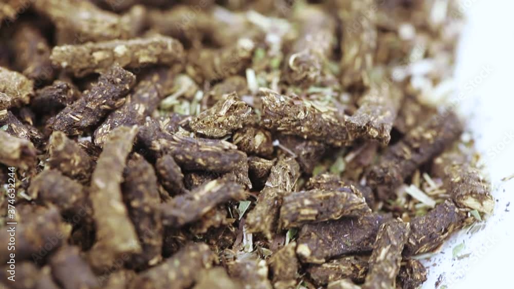 Ivan-tea is fermented Ivan-tea is fermented