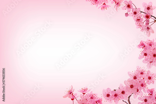 Pink cherry blossom frame and blank space
