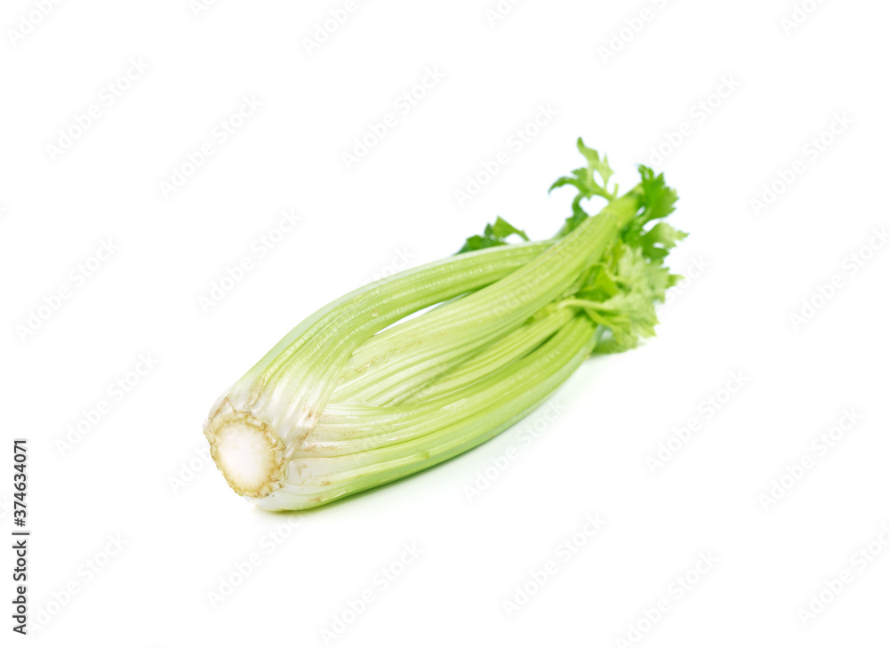 Celery isolated on white background Celery isolated on white background