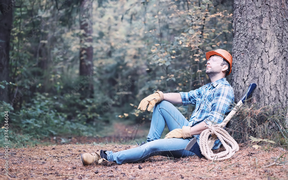 Male lumberjack in the forest. A professional woodcutter inspects trees for felling. Male lumberjack in the forest. A professional woodcutter inspects trees for felling.