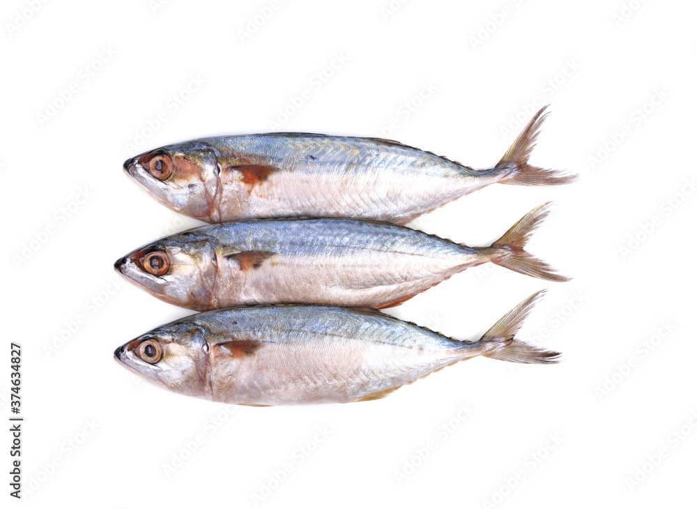 Fresh mackerel isolated on white background. Fresh mackerel isolated on white background.