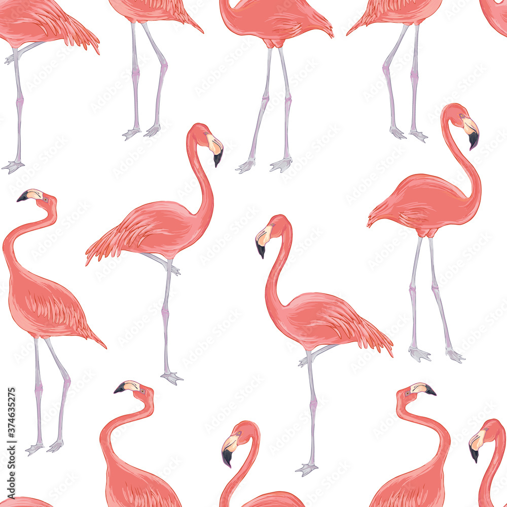 Obraz premium Vector realistic illustration set of pink flamingo bird